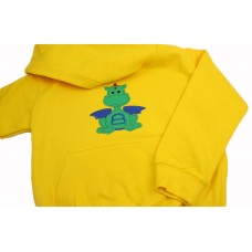 Cute Bright Boys Embroidered Dragon Applique Hoodie